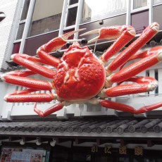 大阪に行ってきました～ヽ(´▽｀)/