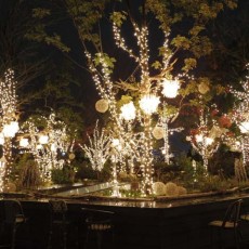 ■イルミネーション見てきましたヽ(´▽｀)/　～表参道～