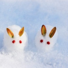 ■年末年始休業のお知らせ