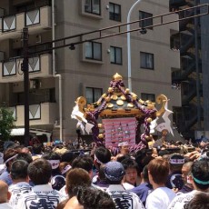 三社祭～ヽ(´▽｀)/