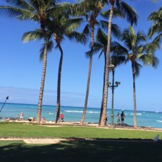 ★ＨＡＷＡＩＩ～ヽ(´▽｀)/