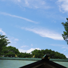 黒子は縁の下の力持ち　～東郷神社