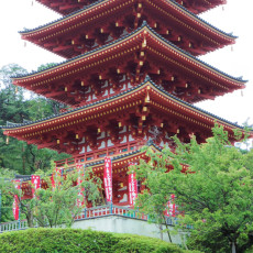 高幡不動尊金剛寺　行ってきました。ヽ(´▽｀)/