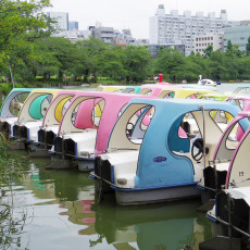 不忍池でボートを見た件