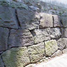 小石川後楽園の石垣♪ 小石川後楽園の石垣♪