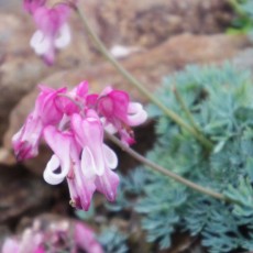 信州に行ってきました～２　ヽ(´▽｀)/