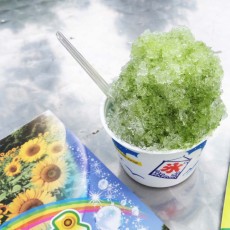 いろいろ　～昭和記念公園