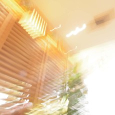 ブレブレ写真を撮ってみました～その２