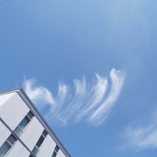 秋の空？
