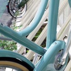 近所をお散歩～♪