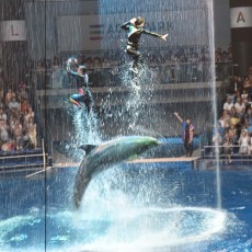 ★アクアパーク品川に行ってきました～その２ヽ(´▽｀)/