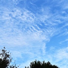 新宿で見上げた秋の空♪