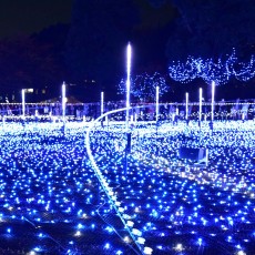 ミッドタウンに行ってきました！　～イルミその１