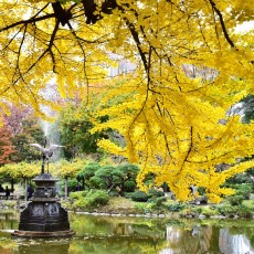 日比谷公園に行ってきました～ヽ(´▽｀)/