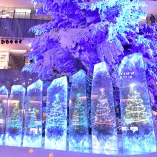 キッテ行ってきましたヽ(´▽｀)/　～イルミその２