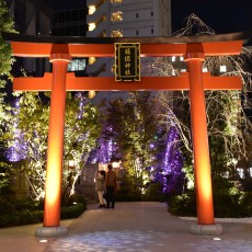 福徳神社イルミネーション