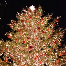 恵比寿ガーデンプレイス①　ヽ(´▽｀)/