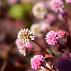 第一走者、快調にスタートしています。