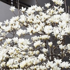 怒涛の繁忙期真っ最中…・゜・(ノД`)・゜・