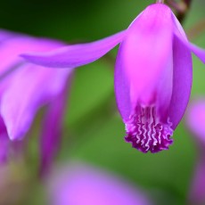 ご近所巡回～o(^▽^)o