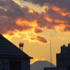 会社から富士山が見えた！ヽ(´▽｀)/