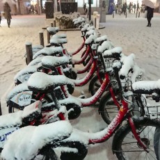 2018.1.22　大雪でした。