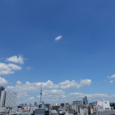 ある日の東の空が眩しい。