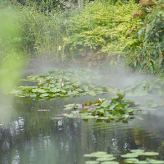 秘密の花園　～西武池袋屋上庭園