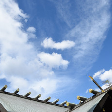 東京大神宮で空を見上げた。