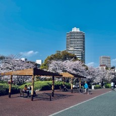 小野散歩　～旧中川・荒川河川敷