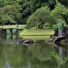 小石川後楽園で案山子にあった。