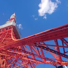 東京タワーを見上げてみた。