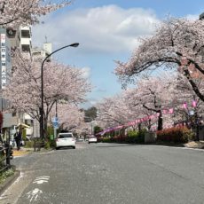 気が付いたら3月も終わり。あれ？