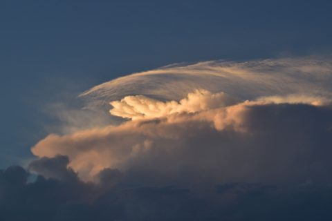 夏の夕方、雲を眺める