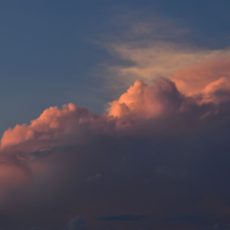 夏の夕方、雲を眺める