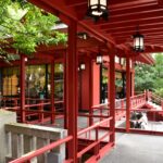 熱海二日目は来宮（きのみや）神社へ