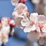 年末年始休業のお知らせ