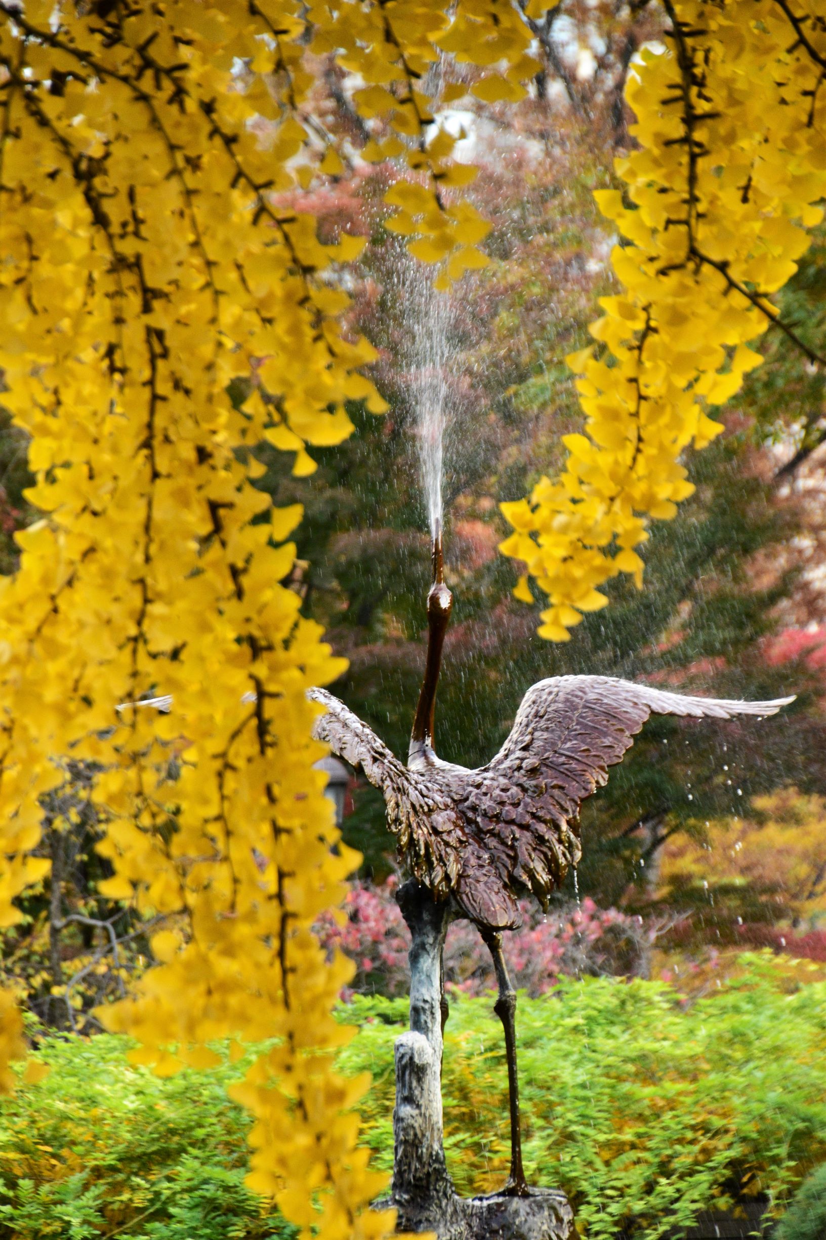 日比谷公園は秋の装い 日比谷公園は秋の装い