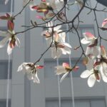 コレド室町テラスをぐるっとしてみました